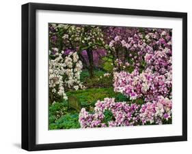 Quarry Garden, Wilmington, Delaware, USA, Deleware-Jay O'brien-Framed Photographic Print