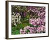 Quarry Garden, Wilmington, Delaware, USA, Deleware-Jay O'brien-Framed Photographic Print