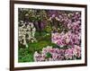 Quarry Garden, Wilmington, Delaware, USA, Deleware-Jay O'brien-Framed Photographic Print