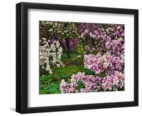 Quarry Garden, Wilmington, Delaware, USA, Deleware-Jay O'brien-Framed Photographic Print