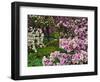 Quarry Garden, Wilmington, Delaware, USA, Deleware-Jay O'brien-Framed Photographic Print