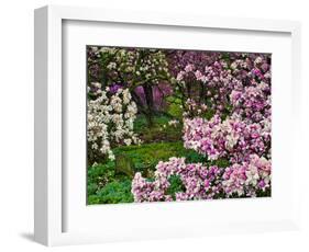 Quarry Garden, Wilmington, Delaware, USA, Deleware-Jay O'brien-Framed Photographic Print