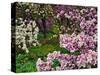 Quarry Garden, Wilmington, Delaware, USA, Deleware-Jay O'brien-Stretched Canvas