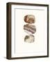 Quarry-Evangeline Taylor-Framed Art Print