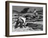 Quarrying Slate by Hand at Trebarwith Slate Quarry, Cornwall, 1959-Michael Walters-Framed Photographic Print