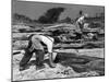 Quarrying Slate by Hand at Trebarwith Slate Quarry, Cornwall, 1959-Michael Walters-Mounted Photographic Print