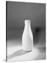 Quart Bottle of Milk-Philip Gendreau-Stretched Canvas