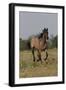 Quarter 020-Bob Langrish-Framed Photographic Print