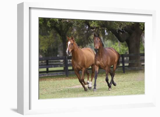 Quarter 028-Bob Langrish-Framed Photographic Print