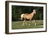 Quarter 029-Bob Langrish-Framed Photographic Print