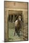 Quarter Horse in Stable-DLILLC-Mounted Photographic Print