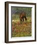 Quarter Horse in Wildflower Field Near Cuero, Texas, USA-Darrell Gulin-Framed Premium Photographic Print