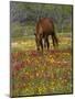 Quarter Horse in Wildflower Field Near Cuero, Texas, USA-Darrell Gulin-Mounted Photographic Print