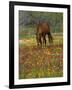 Quarter Horse in Wildflower Field Near Cuero, Texas, USA-Darrell Gulin-Framed Photographic Print