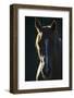 Quarter Horse-DLILLC-Framed Photographic Print