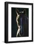 Quarter Horse-DLILLC-Framed Photographic Print