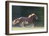 Quarter Horses Running-DLILLC-Framed Photographic Print