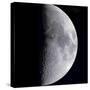 Quarter Moon-null-Stretched Canvas