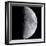 Quarter Moon-null-Framed Photographic Print