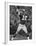 Quarterback for Vikings Francis Tarkenton No.10-Bill Eppridge-Framed Premium Photographic Print