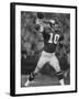 Quarterback for Vikings Francis Tarkenton No.10-Bill Eppridge-Framed Premium Photographic Print