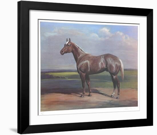 Quarterhorse-Helen Hayse-Framed Collectable Print