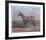 Quarterhorse-Helen Hayse-Framed Collectable Print