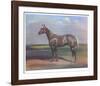 Quarterhorse-Helen Hayse-Framed Collectable Print