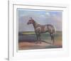 Quarterhorse-Helen Hayse-Framed Collectable Print