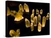 Quartz Crystals at Crystal Cave Museum in Australia-Stuart Westmorland-Stretched Canvas