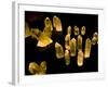 Quartz Crystals at Crystal Cave Museum in Australia-Stuart Westmorland-Framed Photographic Print