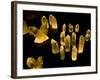Quartz Crystals at Crystal Cave Museum in Australia-Stuart Westmorland-Framed Photographic Print
