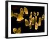 Quartz Crystals at Crystal Cave Museum in Australia-Stuart Westmorland-Framed Photographic Print