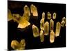 Quartz Crystals at Crystal Cave Museum in Australia-Stuart Westmorland-Mounted Photographic Print