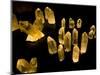 Quartz Crystals at Crystal Cave Museum in Australia-Stuart Westmorland-Mounted Photographic Print