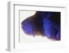 Quartz crystals-Zandria Muench Beraldo-Framed Photographic Print
