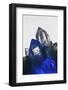 Quartz crystals-Zandria Muench Beraldo-Framed Photographic Print