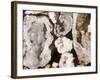 Quartz Stones, Marrakech (Marrakesh), Morocco, North Africa, Africa-Nico Tondini-Framed Photographic Print