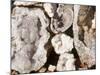 Quartz Stones, Marrakech (Marrakesh), Morocco, North Africa, Africa-Nico Tondini-Mounted Photographic Print