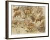 Quatorze études de cerfs-Rosa Bonheur-Framed Giclee Print