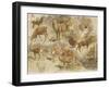 Quatorze études de cerfs-Rosa Bonheur-Framed Giclee Print