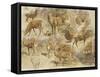 Quatorze études de cerfs-Rosa Bonheur-Framed Stretched Canvas