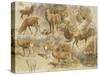 Quatorze études de cerfs-Rosa Bonheur-Stretched Canvas