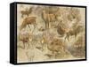 Quatorze études de cerfs-Rosa Bonheur-Framed Stretched Canvas