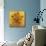 Quatorze tournesols dans un vase (Détail)-Vincent van Gogh-Mounted Art Print displayed on a wall