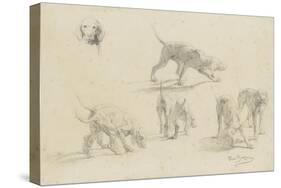 Quatre études d'un couple de chiens de chasse, et une tête de chien-Rosa Bonheur-Stretched Canvas