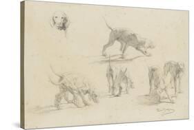 Quatre études d'un couple de chiens de chasse, et une tête de chien-Rosa Bonheur-Stretched Canvas