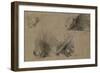 Quatre études de porc-épic-Pieter Boel-Framed Giclee Print