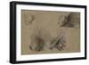 Quatre études de porc-épic-Pieter Boel-Framed Giclee Print