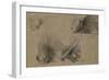 Quatre études de porc-épic-Pieter Boel-Framed Giclee Print